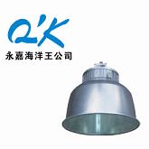 供应高效场馆顶灯 NFC9850